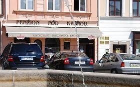 Penzion Pod Kasnou